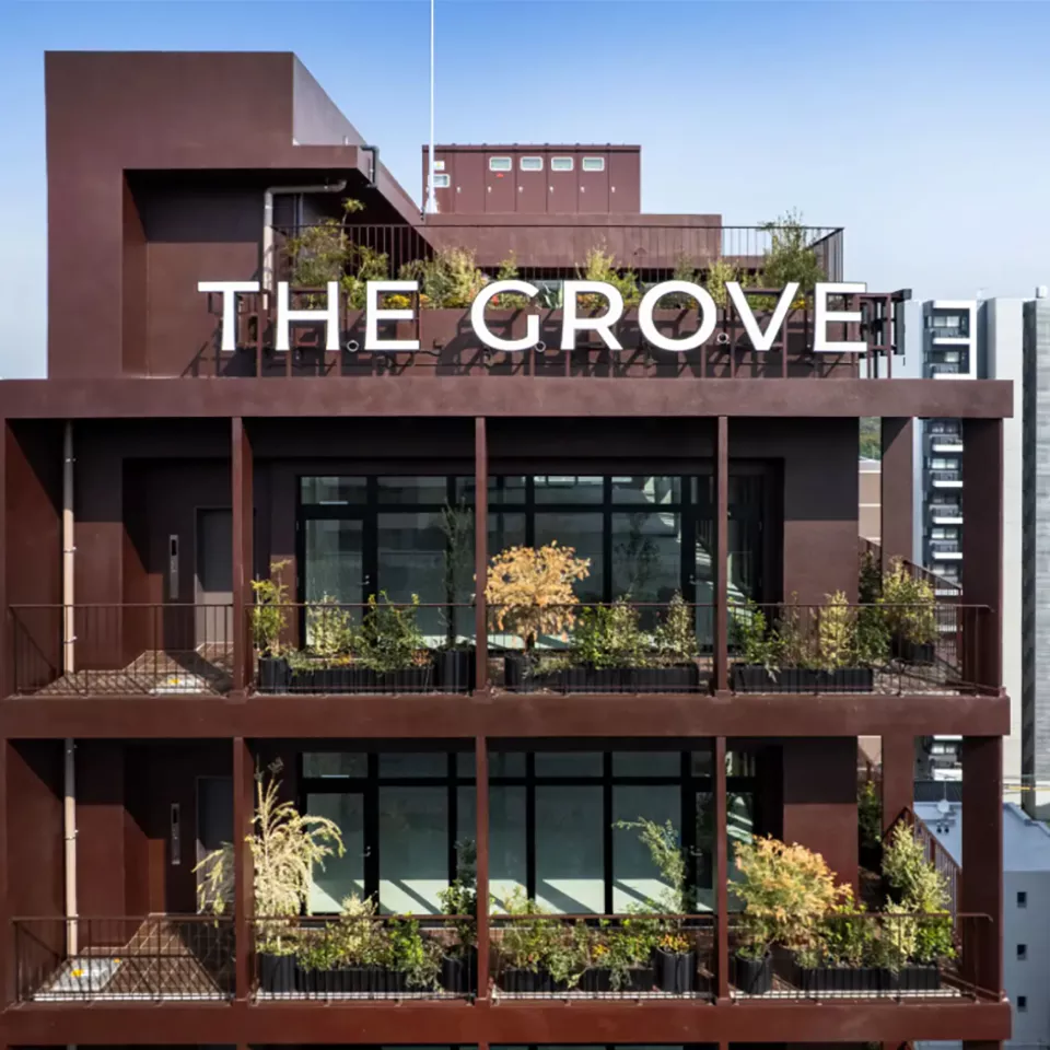 THE GROVE PROJECT